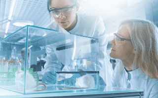 CAMouse™ VHK Strain Producing Fully Human Antibodies with Constant VL (Creative Biolabs Authorized)