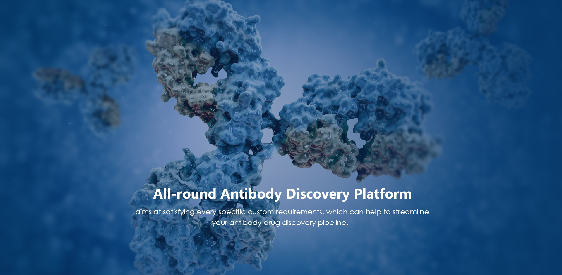 All-round Antibody Discovery Platform (Creative Biolabs Authorized)