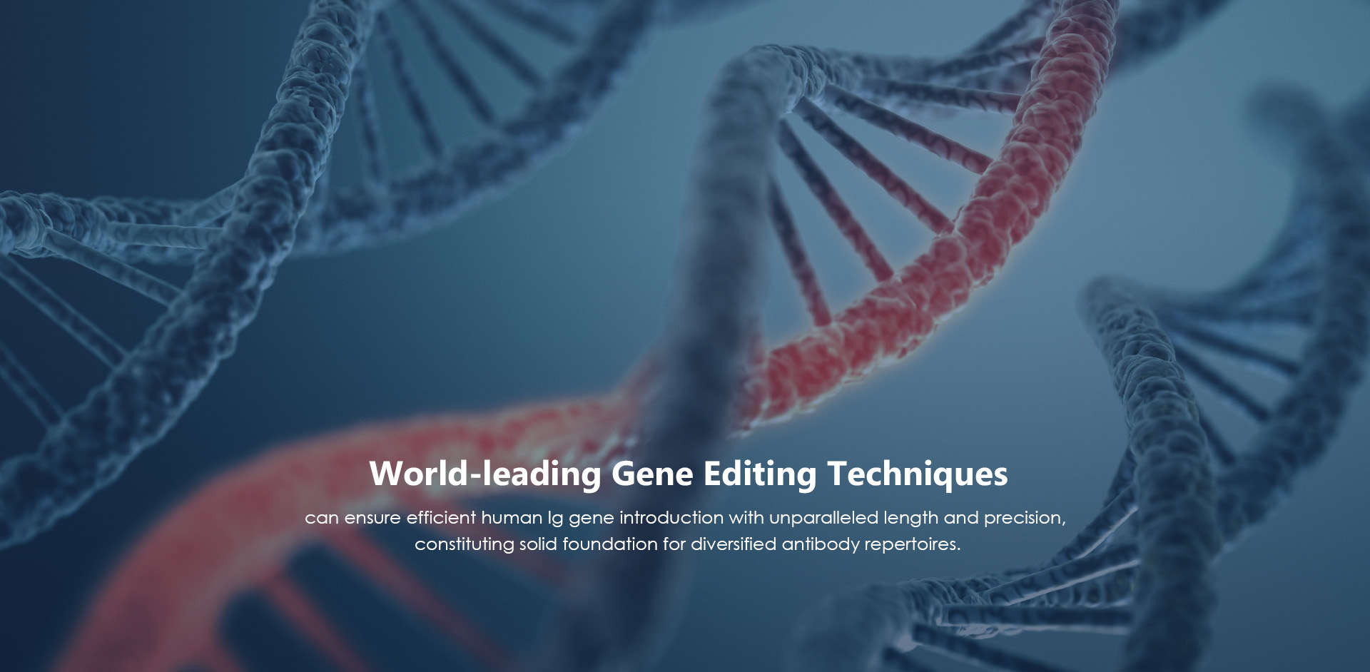 World-leading Gene Editing Techniques (Creative Biolabs Authorized)