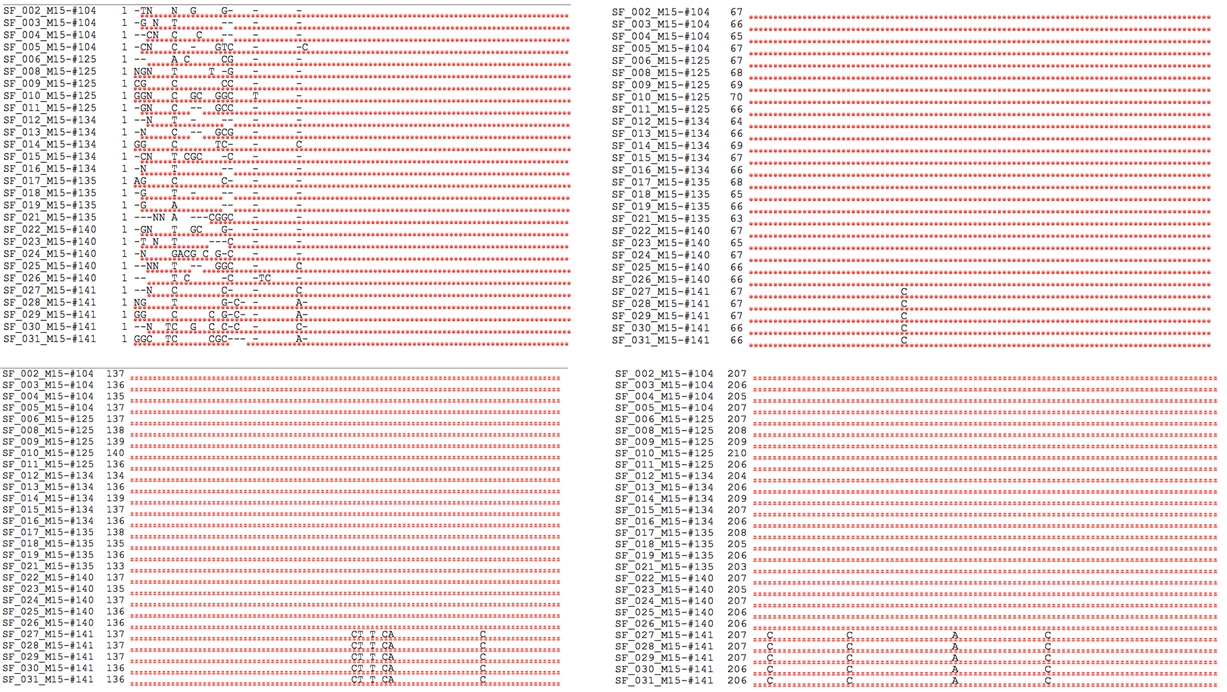 Case Study of B Cell Sorting