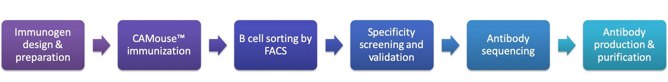Case Study of B Cell Sorting