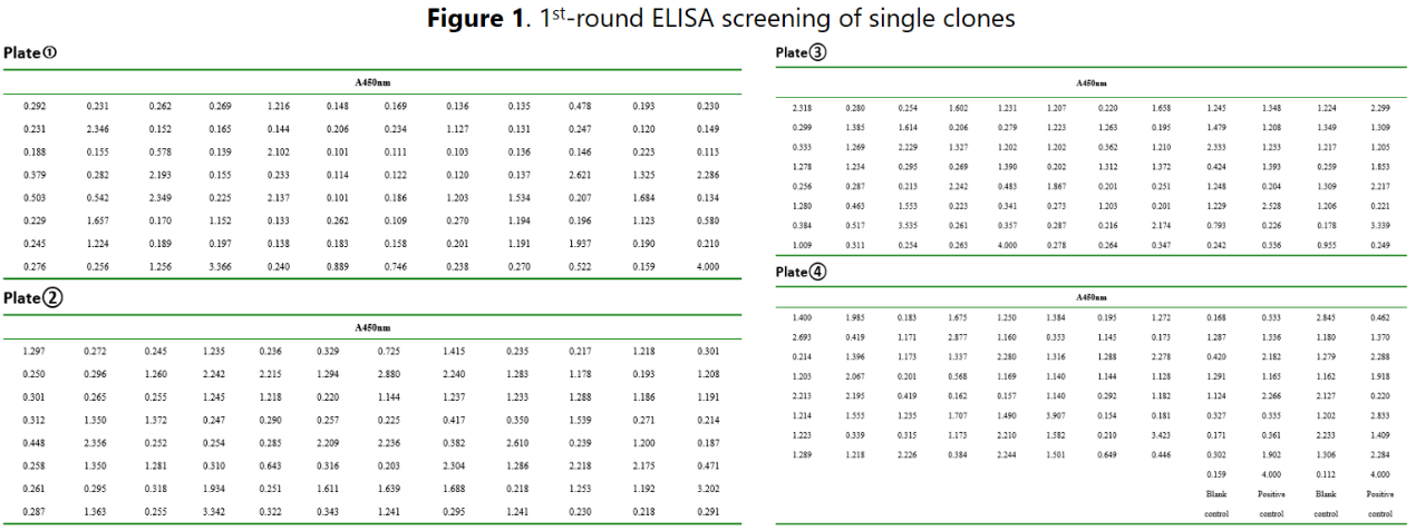 Case Study of Hybridoma