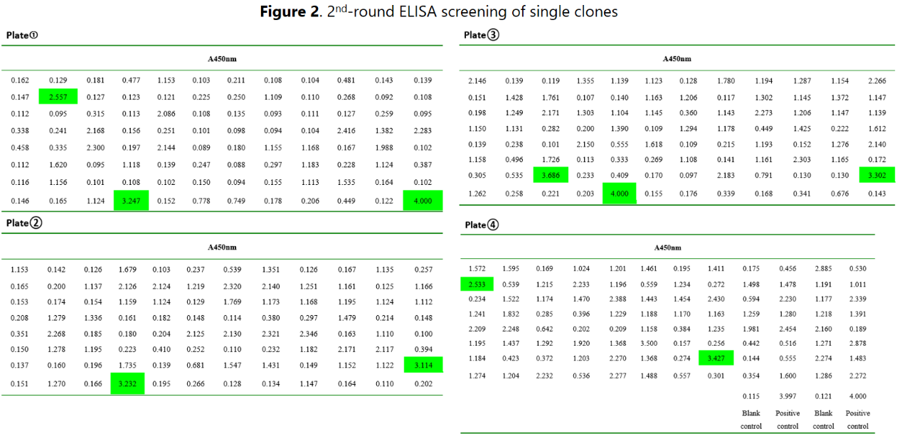 Case Study of Hybridoma