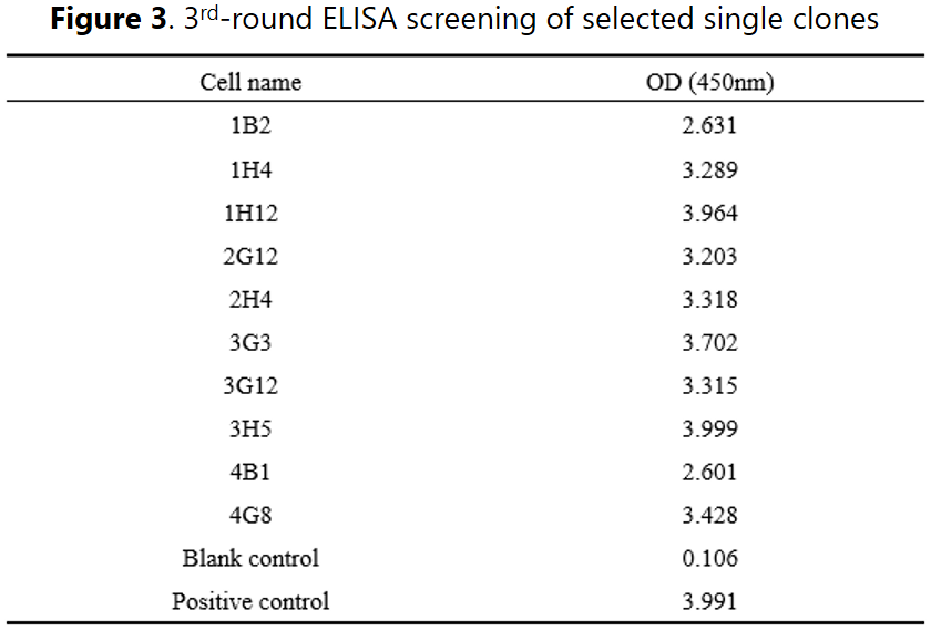 Case Study of Hybridoma