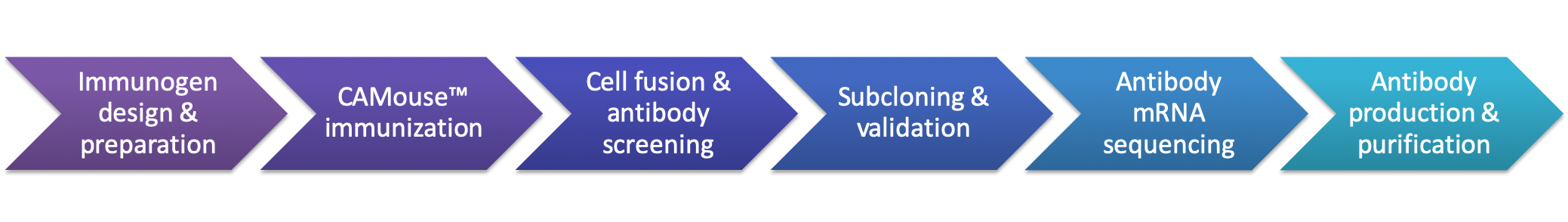 Case Study of Hybridoma