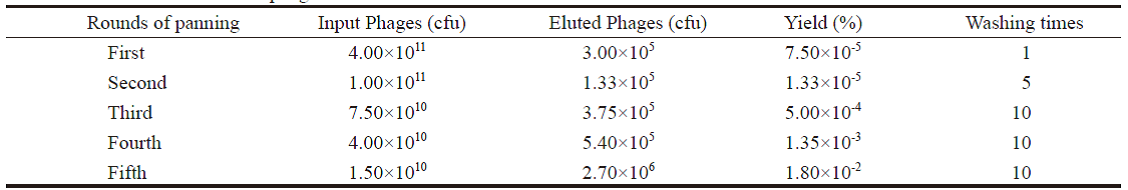 Case Study of Phage Display