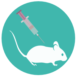 Human Antibody Discovery Using FOTA™ Humanized Mouse