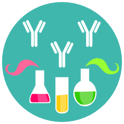 Human Antibody Discovery Using FOTA™ Humanized Mouse