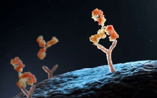 (Creative Biolabs Authorized)