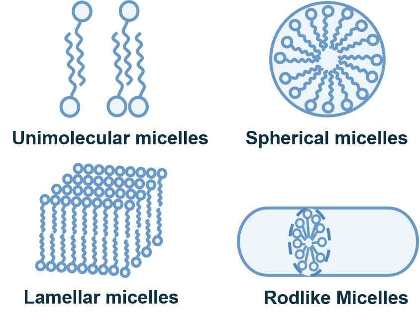 A type of micellar structure. (Creative Biolabs Original)