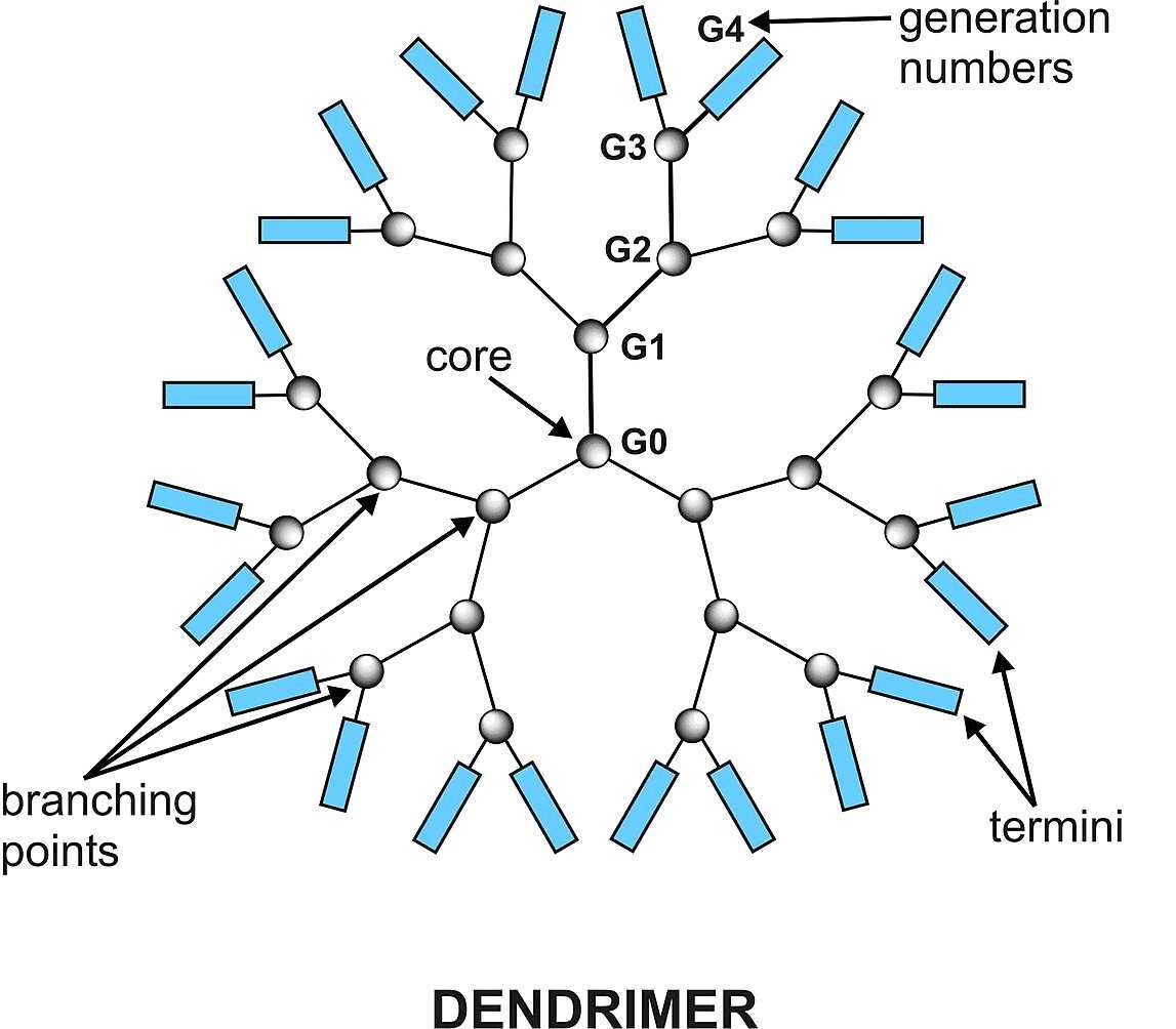 Structure diagram of dendritic polymer. 