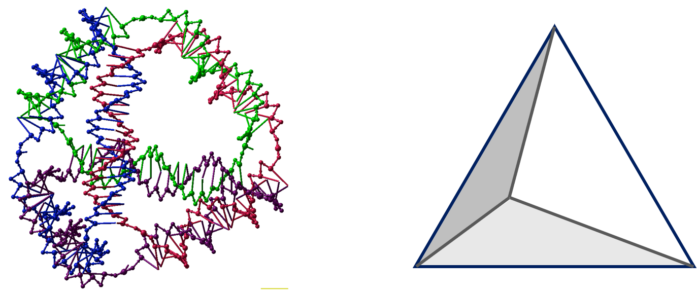 The most commonly used DNA nanostructure diagram and its simplified version.
