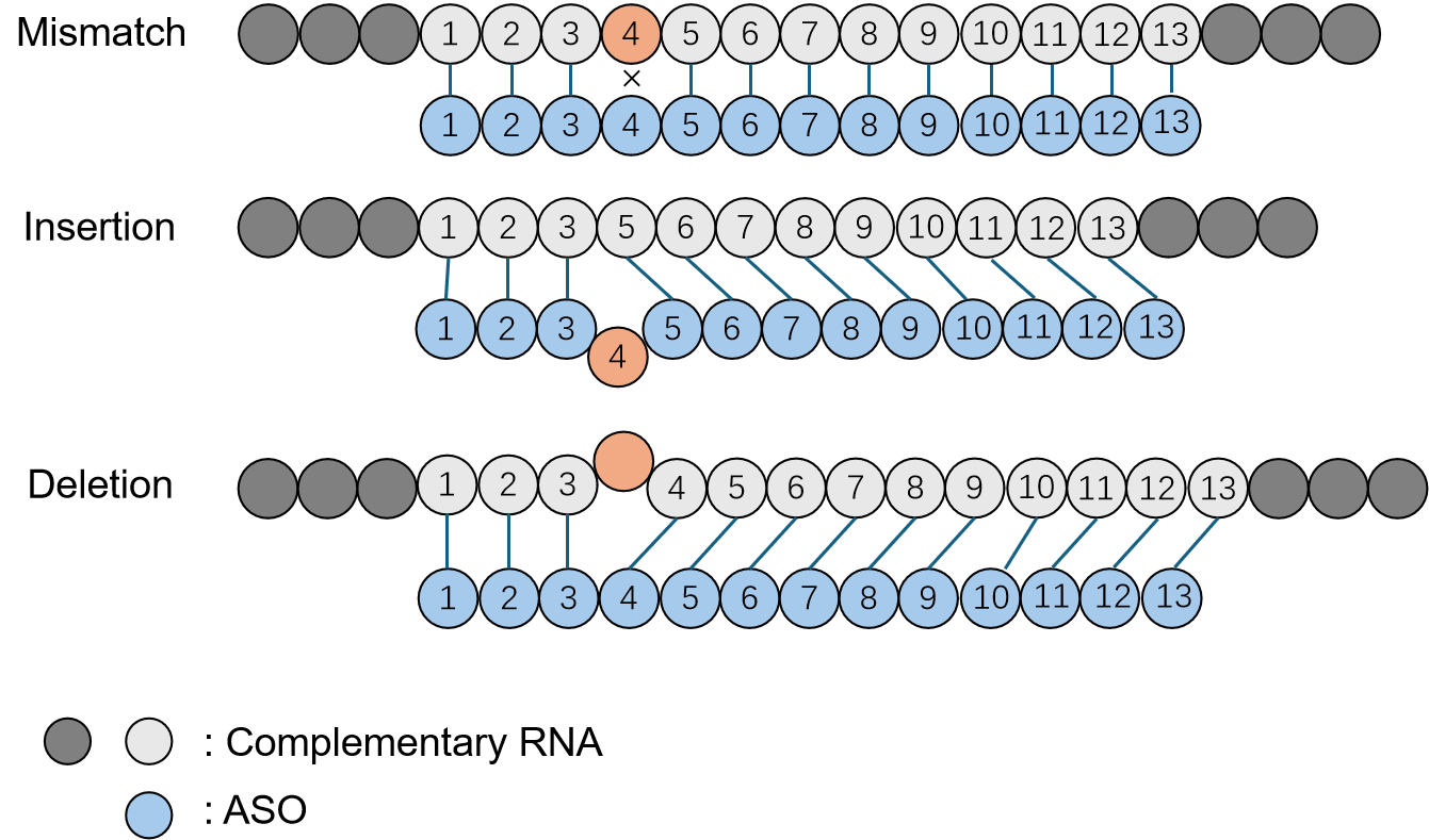 Mismatches, insertions, and deletions result in off-target effects. (Creative Biolabs Original)
