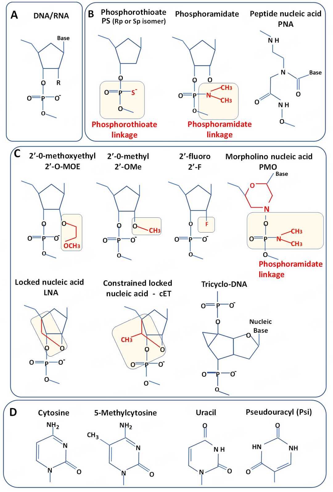 Schematic of various replacement ways of ASO.