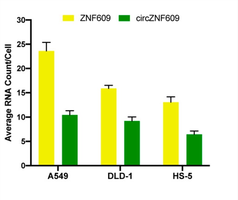 The linear and circular morphological signals of the target RNA were quantified after analysis by MATLAB. (OA Literature)