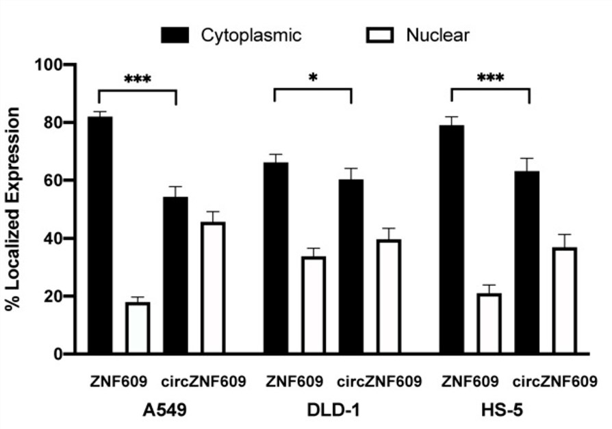 Average relative nuclear and cytoplasmic localization of linear and circular target RNAs in different cell lines. (OA Literature)