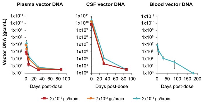 The shedding of carrier DNA in animal body fluids after injection of AAV5-miHTT. (OA Literature)