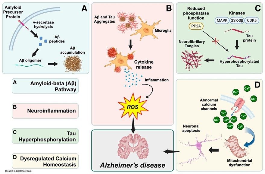Biochemical pathways leading to Alzheimer’s disease pathogenesis. (OA Literature)