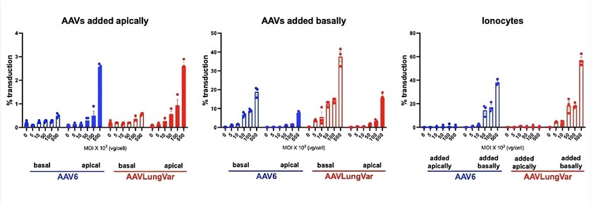 With the increase of AAV concentration, the transduction of each cell population shows a dose-response relationship. (OA Literature)