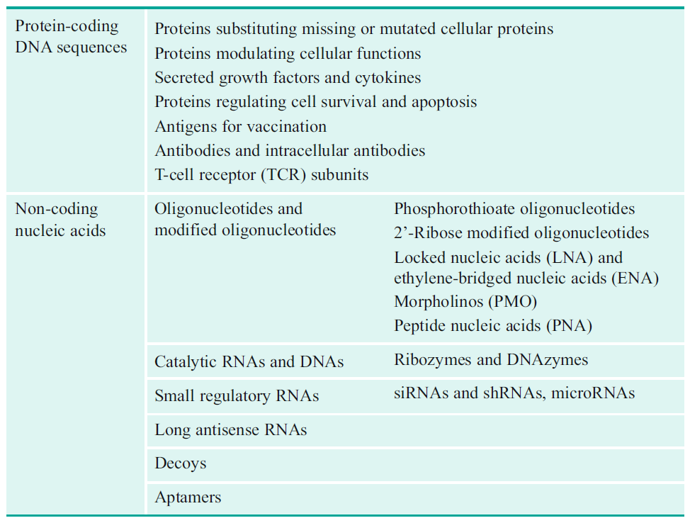 Therapeutic nucleic acids