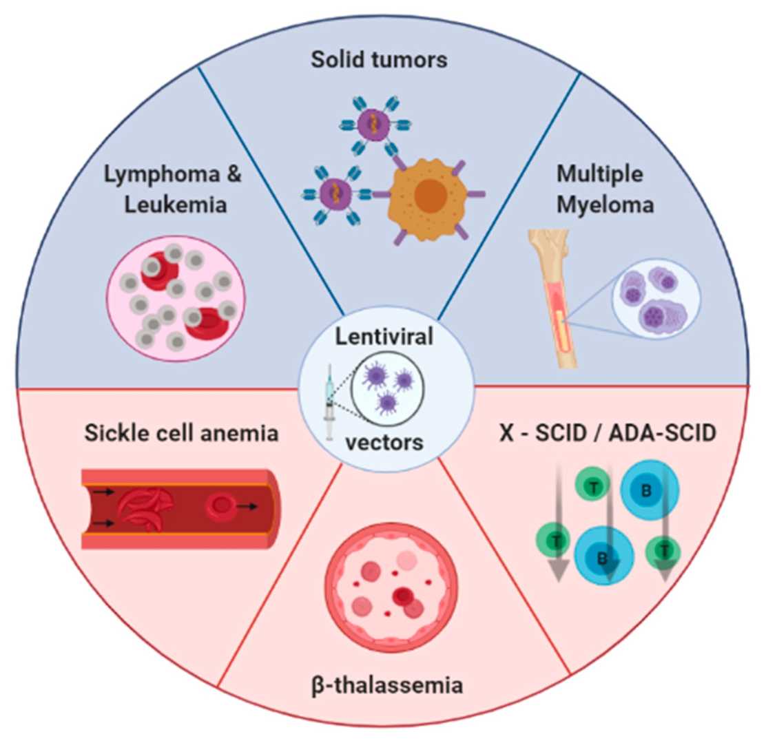 The main diseases with the largest number of active clinical trials using lentiviral vectors include leukemia, solid tumors, multiple myeloma, β-thalassemia, sickle cell anemia, and so on. (OA Literature)