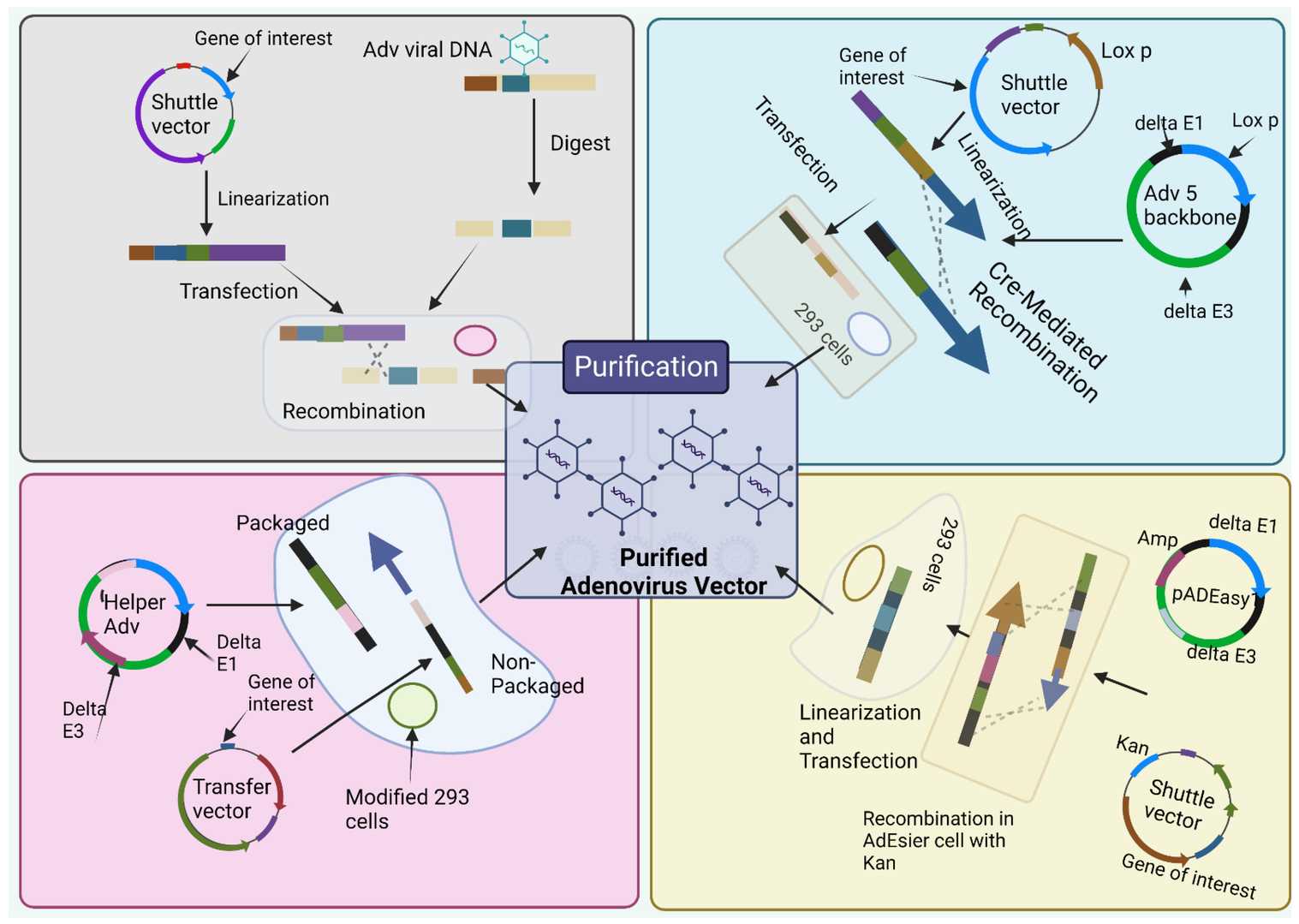Production methods for adenoviral vectors. (OA Literature)