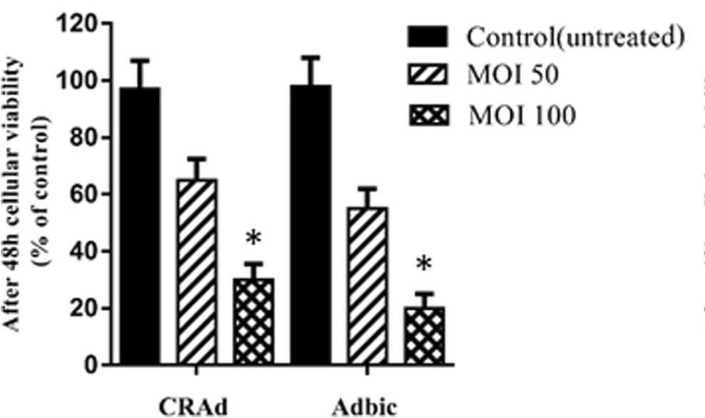 Treatment of tumor cells with MOI 50 and 100 concentrations of adenovirus vector could inhibit the activity of tumor cells. (OA Literature)