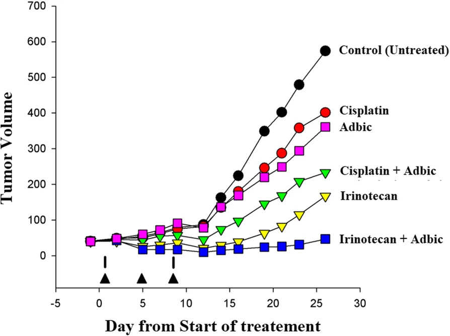 Treatment of tumor cells with an adenovirus vector slowed tumor growth in tumor-bearing mice (OA Literature)