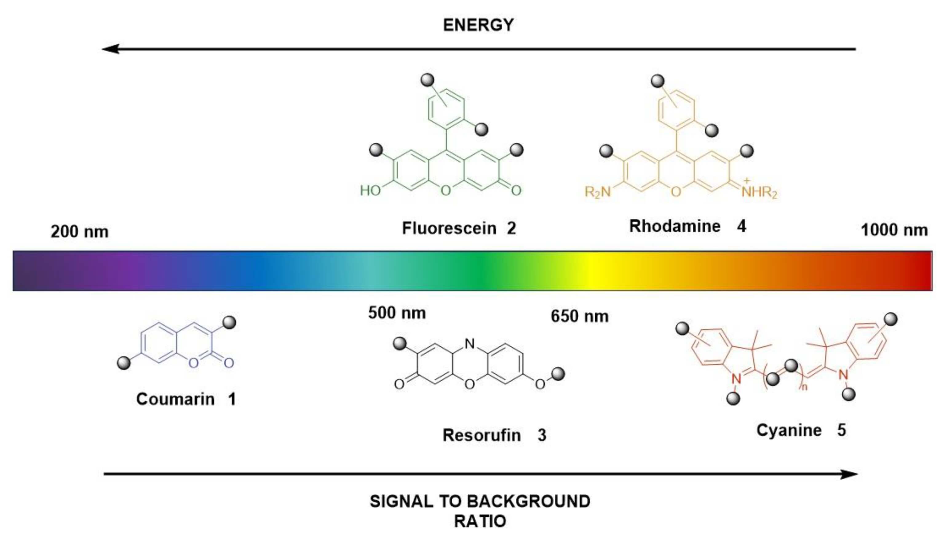 The selection of fluorophores or their combinations can span from ultraviolet-visible light (200-600nm) to near-infrared or far-red spectral regions (650-1000nm), which determines the excitation/emission curve. (OA Literature)