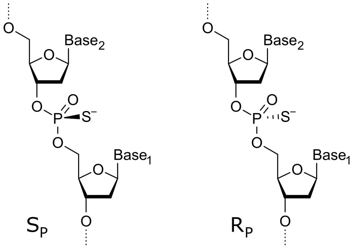 The Rp- and Sp- diastereomers of the nucleoside interthiophosphate bond.
