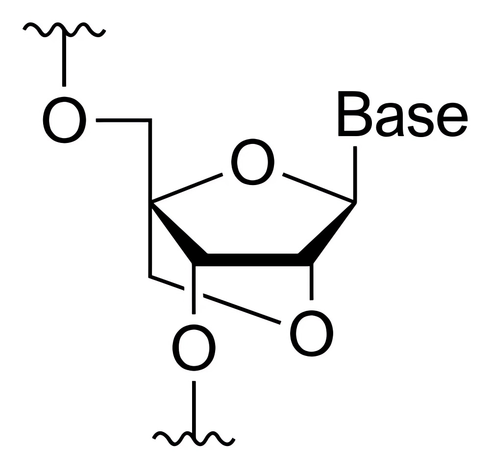 The chemical structural formula of lock nucleic acid.
