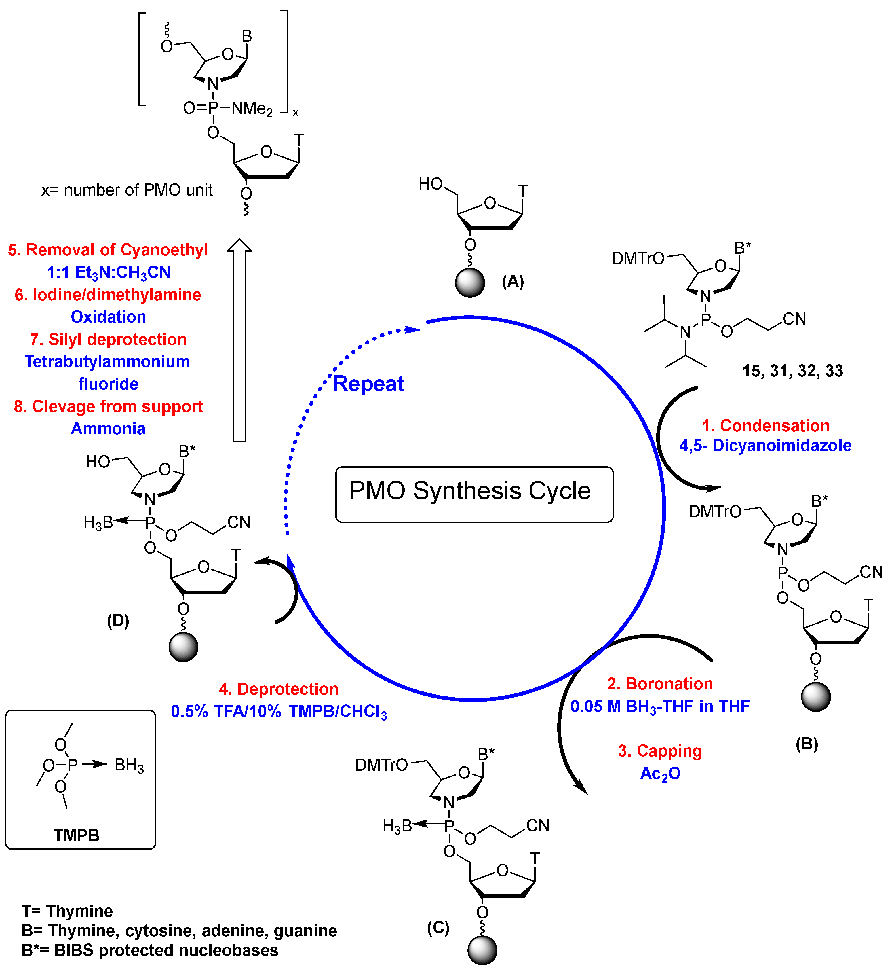 Synthesis cycle for the preparation of PMOs. (OA Literature)