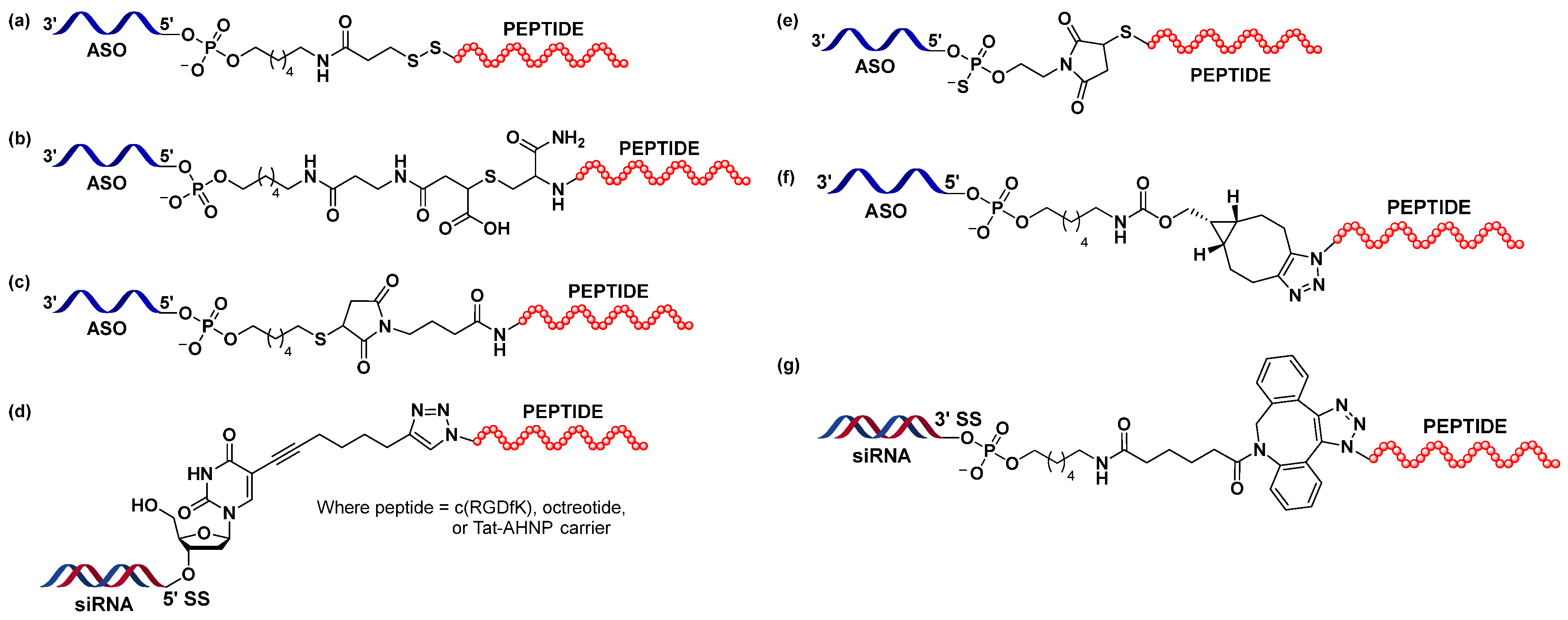 Various types of linkers and spacers used for coupling peptides with oligonucleotides to achieve receptor-mediated targeted delivery. (OA Literature)