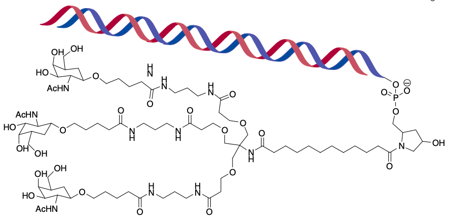 Chemical structure of a tertiary conjugate between GalNAc and RNA.