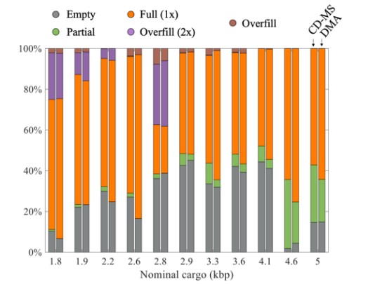 Characterization of the consistency of AAV capsids using different methods. (Creative Biolabs Authorized)