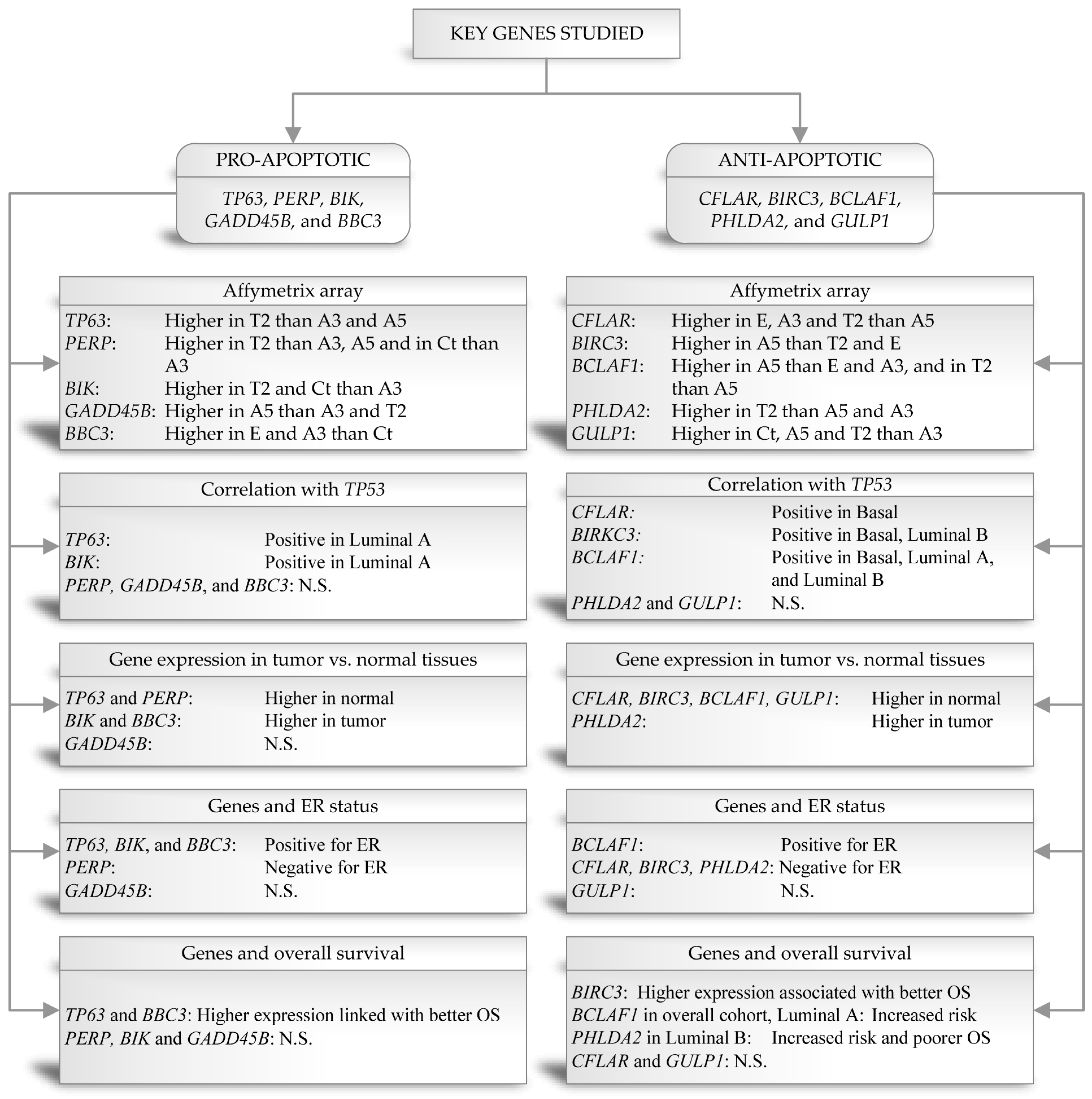 Key genes related to pro-apoptotic and anti-apoptotic genes. (OA Literature)