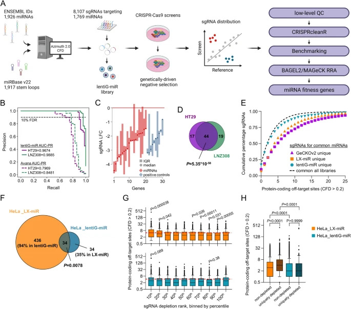 Generation and validation of lentiG-miR for miRNA knockout studies. (OA Literature)