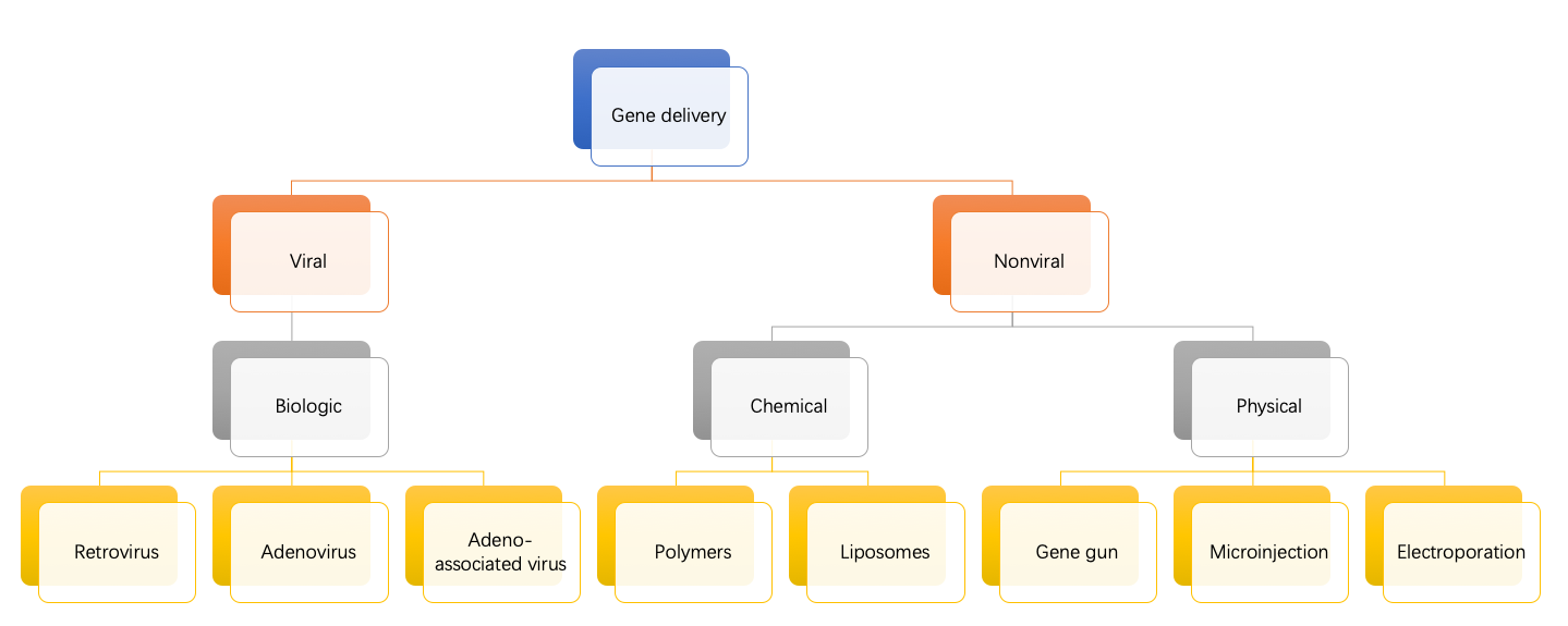 Organization of common gene delivery methods/vehicles.