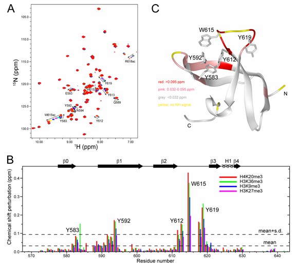 Recognition of the RBBP1 CD by methylated histone tails.