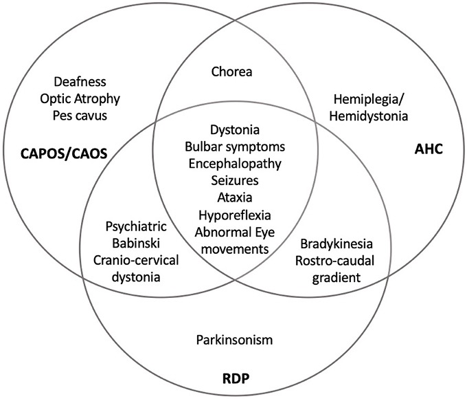 Overlapping of ATP1A3-related disorders.