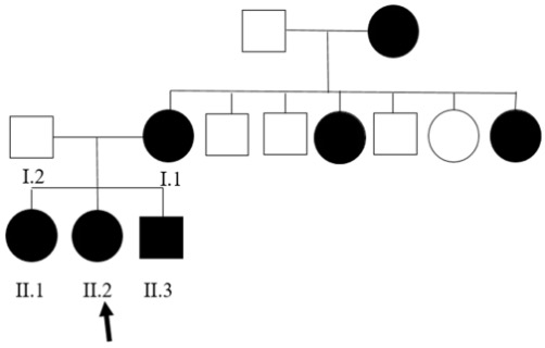 Familial segregation of the KIF1A variant.