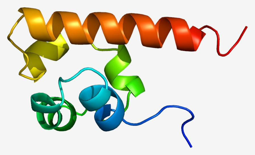 The structure of EPHA4