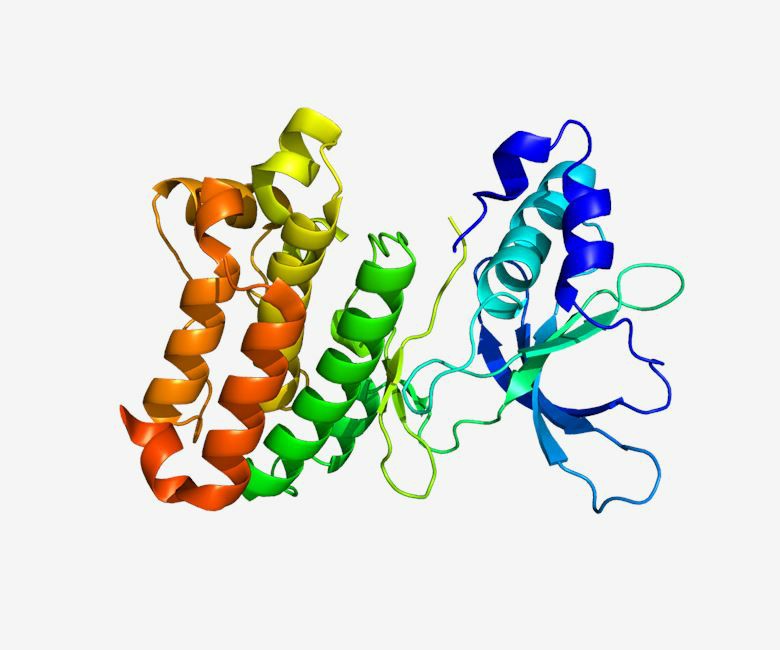 The structure of EPHA7