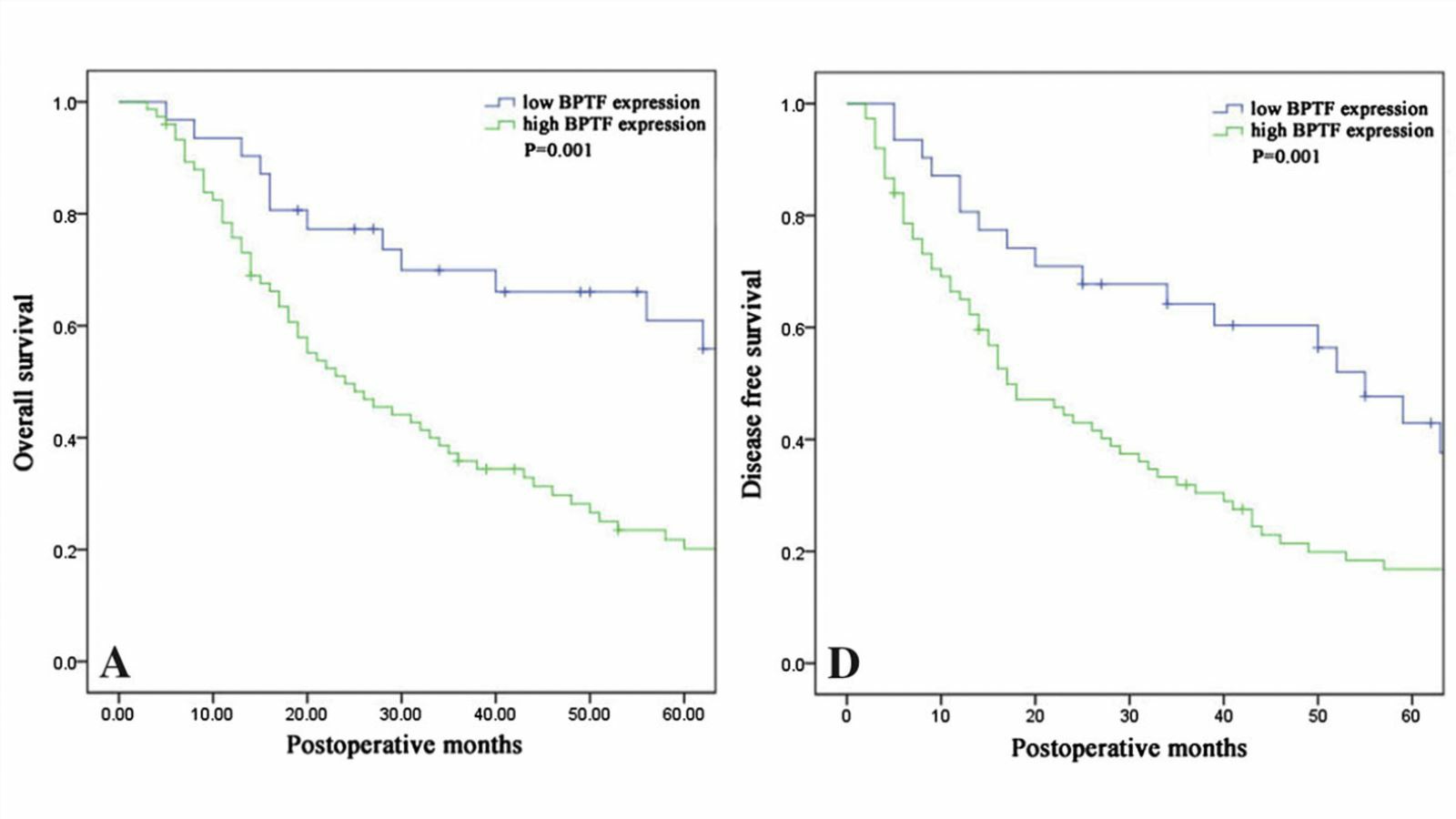 The survival curve in patients with different expressions of BPTF