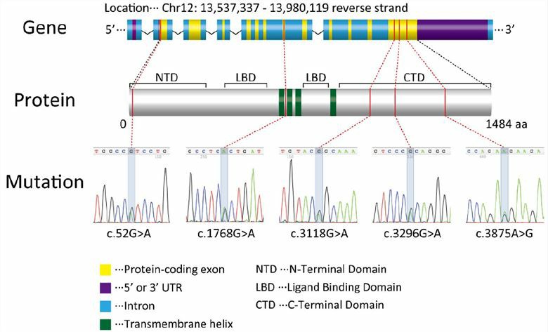 Variants with respect to the secondary structure of GRIN2B.