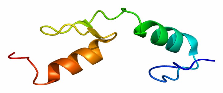 The structure of HIVEP1
