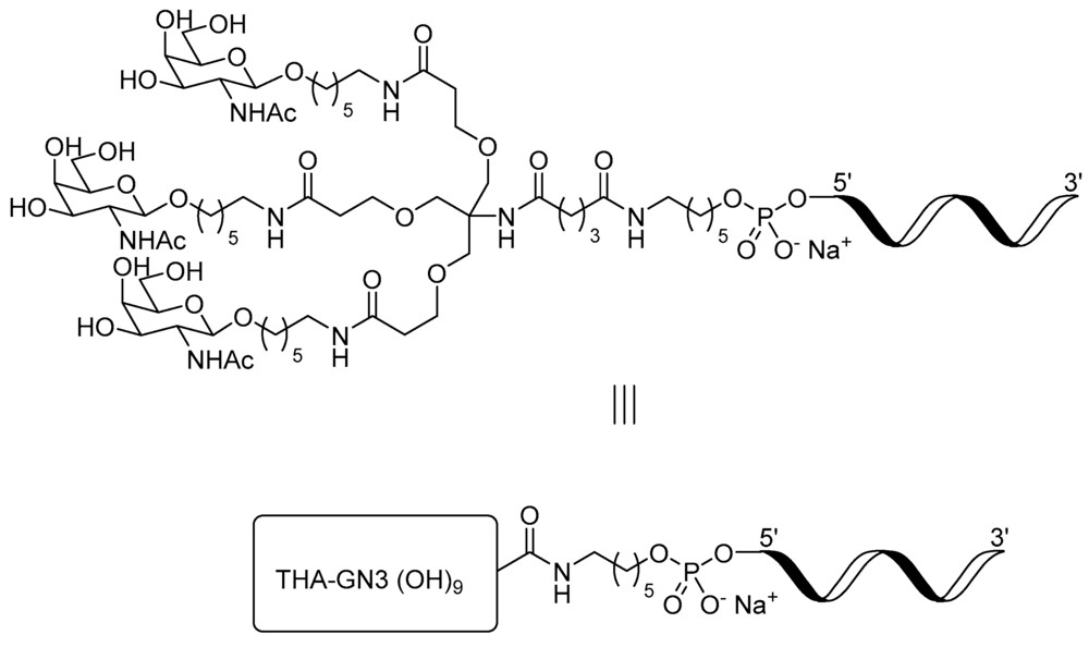 Figure 1. GalNAc-ASO conjugate architecture. Chemical structure of the GalNAc ligand, linker, and ASO payload. (OA Literature)