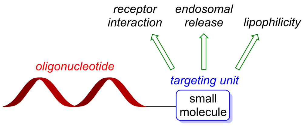 Figure 1. Cellular targeting of oligonucleotides via small-molecule conjugation. (OA Literature)