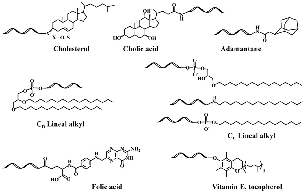 Figure 1. Lipid-oligonucleotide conjugate structures. (OA Literature)