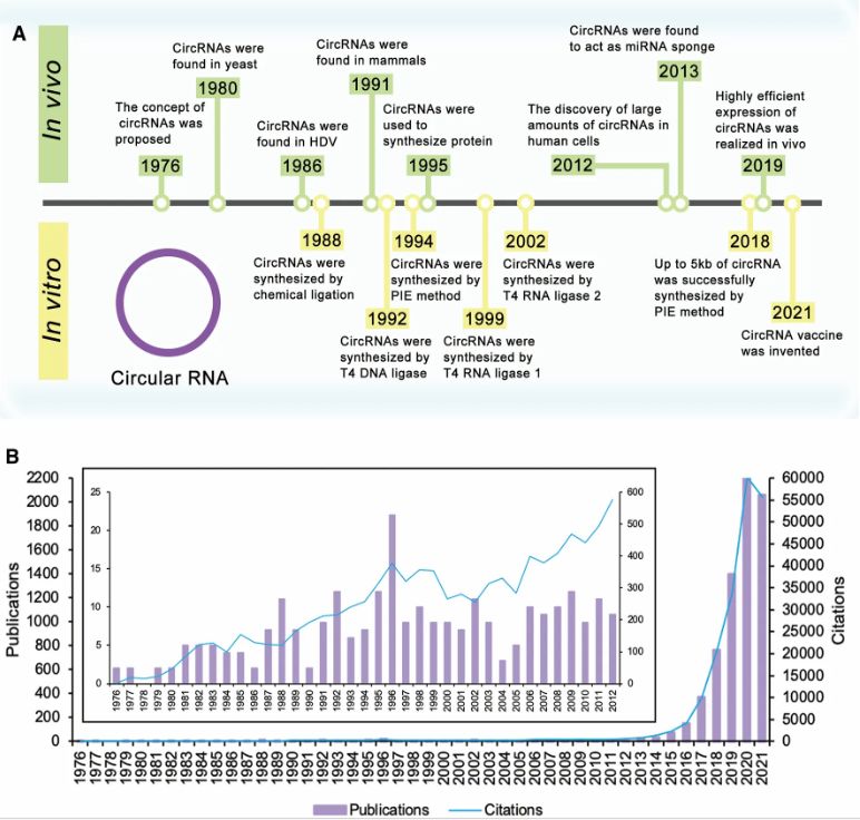 Figure 1. Chronology of circRNA discovery and characterization. (OA Literature)